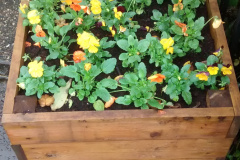 1448279708img_20151107_111150105