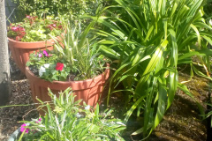 1496778511sprucing-up-the-tubs